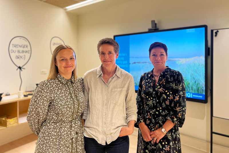 Marie Vatnaland, Christine Sandvold og Anita Håvarsen jobber med Digi Barnevern for Digi Rogaland. Marie Vatnaland, Christine Sandvold og Anita Håvarsen.