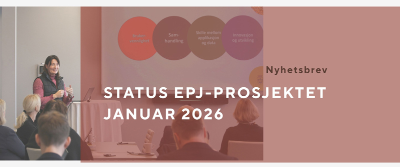 Kristine Skjøthaug presenterer EPJ prosjektet for kommunedirektørene