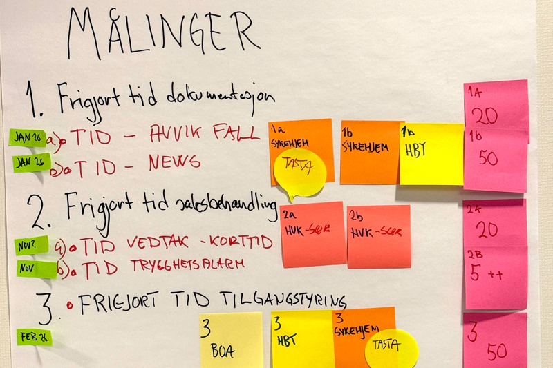 Hvor lang tid tar det for en bruker å få trygghetsalarm eller kortidsplass i sykehjem, er noen av målepunktene som er kartlagt.