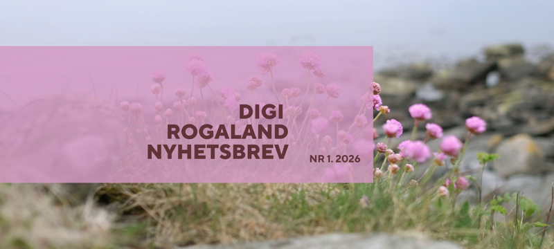 Foto av steiner og strå på en strand 