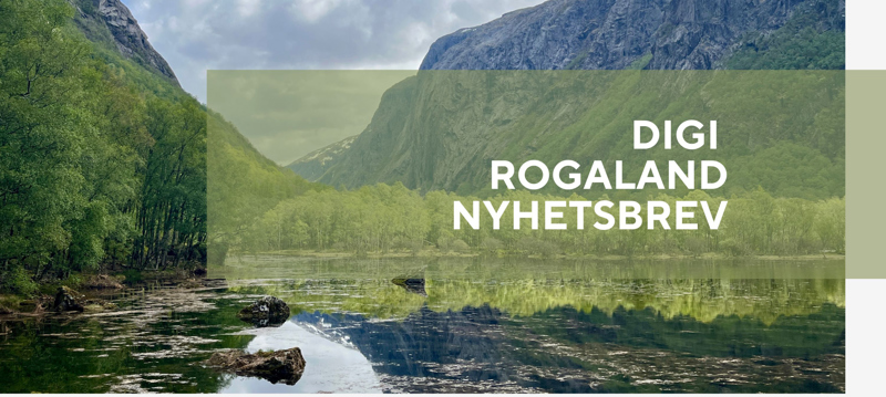 Nyhetsbrev bilde vår 2025